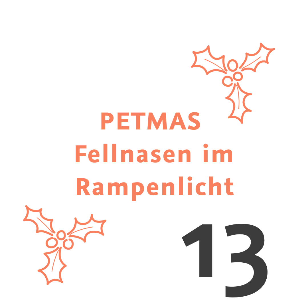 Adventkalender Tür 13